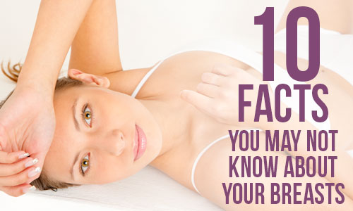10 Facts You May Not Know About Your Breasts in Maryland (MD)